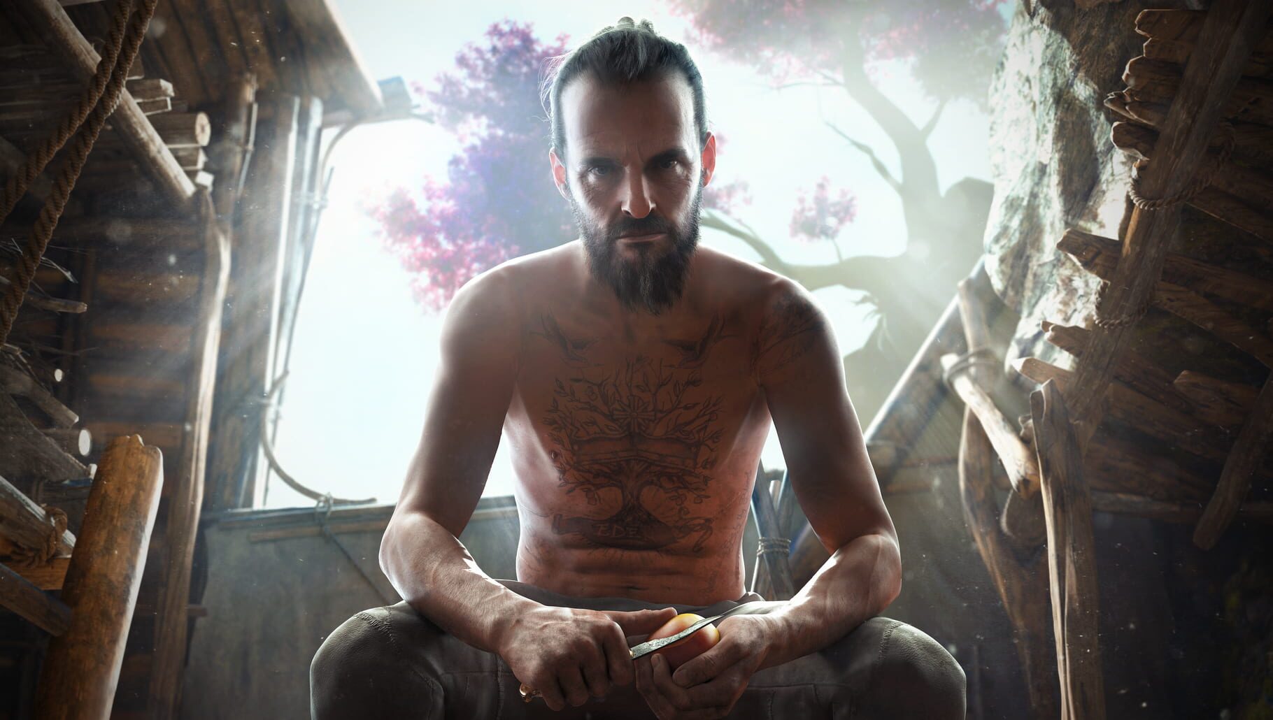 Arte - Far Cry New Dawn