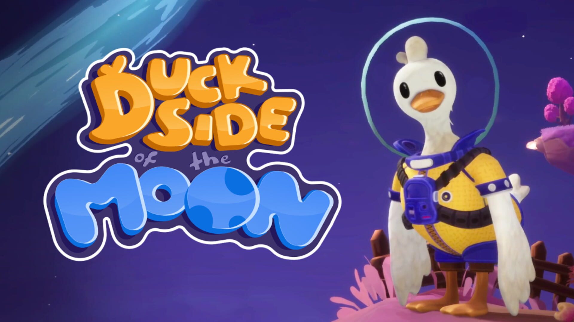 Duck Side of the Moon artwork