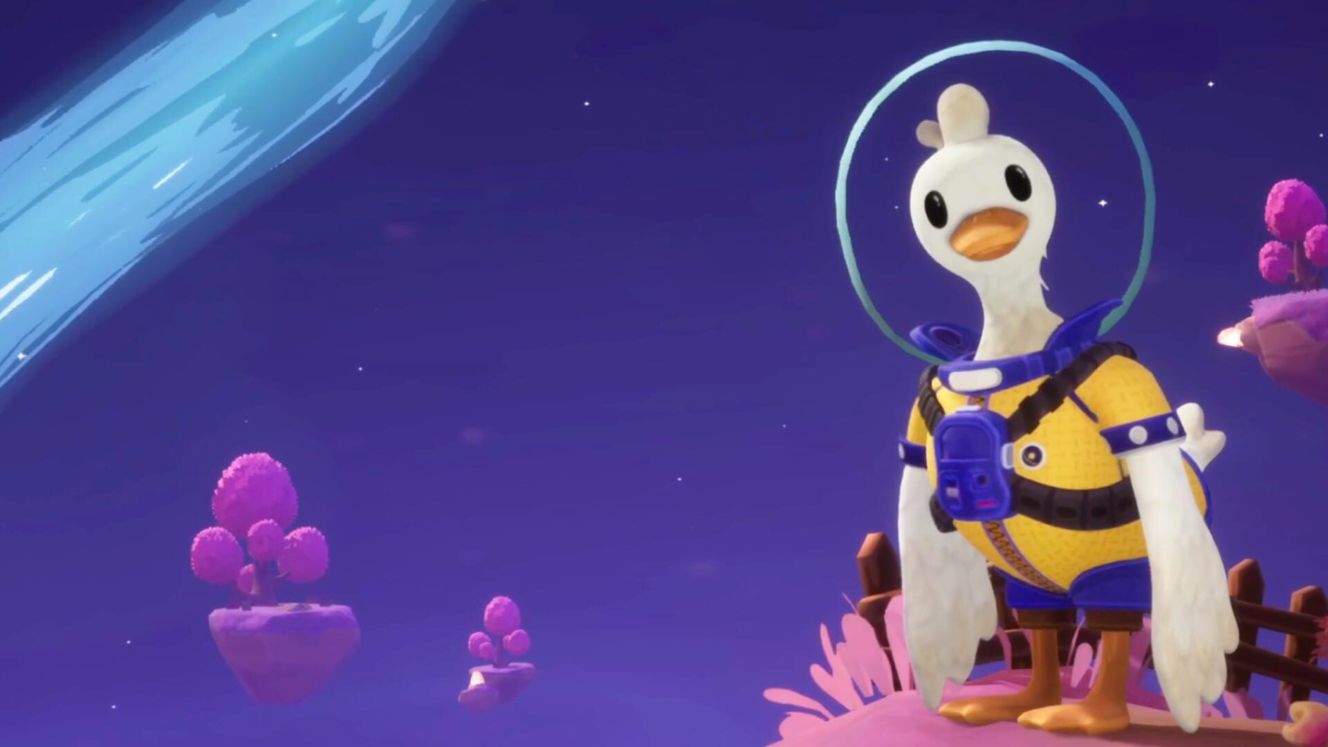 Duck Side of the Moon artwork