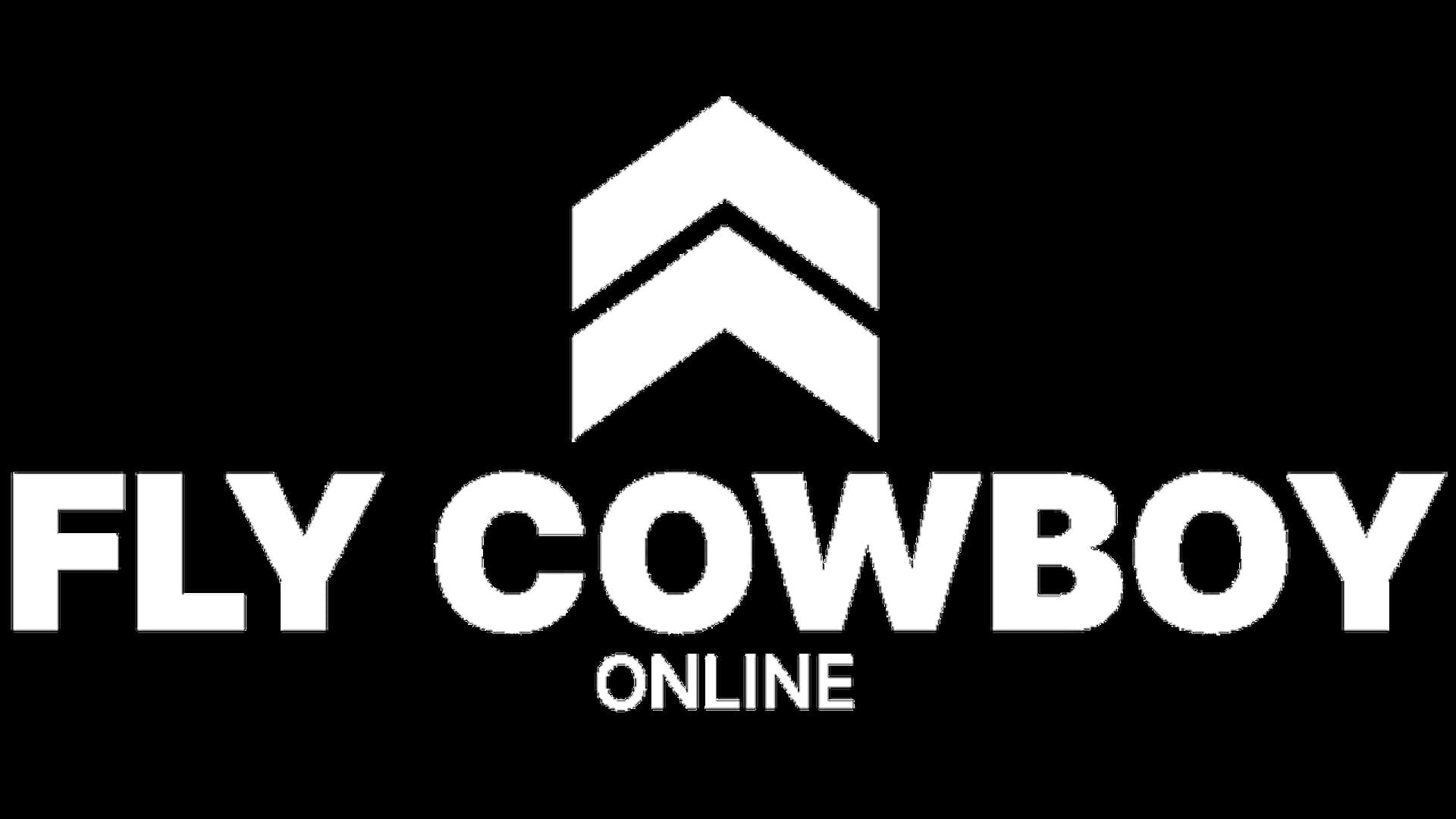 Fly Cowboy Online