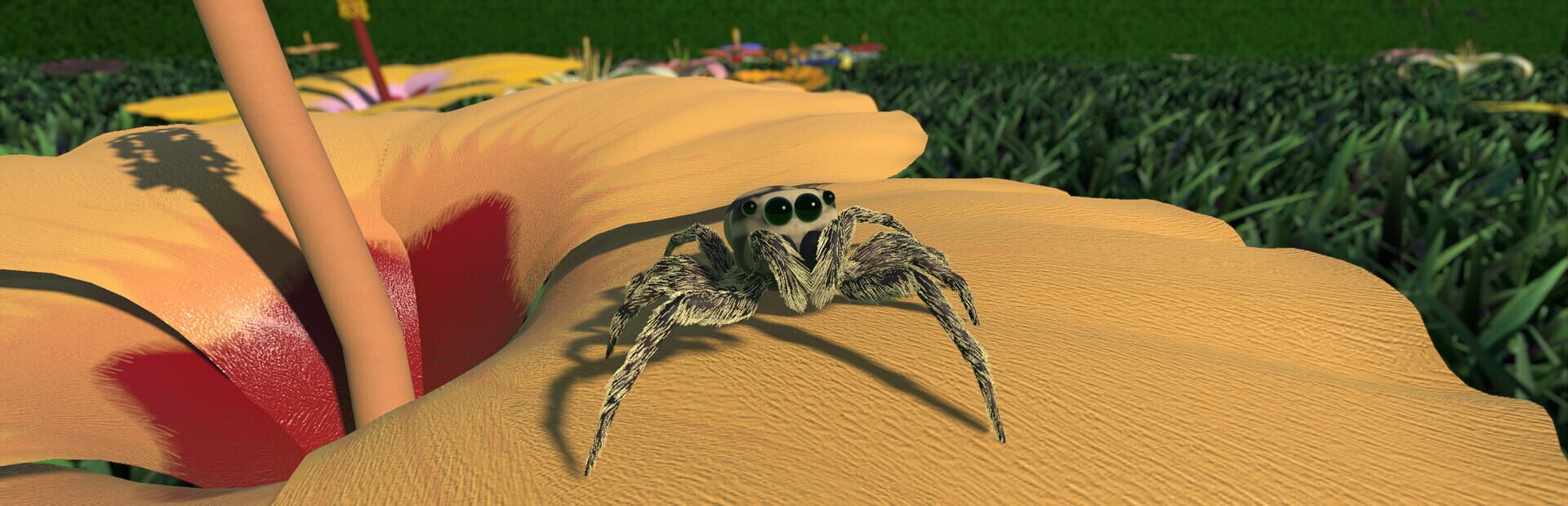 A little Jumpingspider's Garden Adventure (Day 1+2)