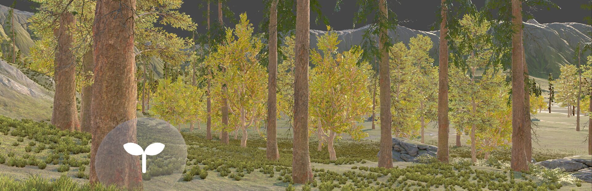 Artwork for Qualial Nature