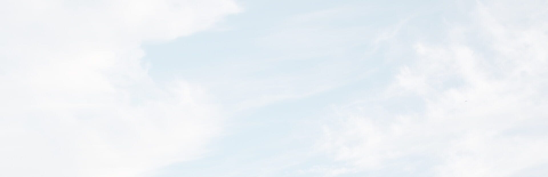 Health Audit Simulator