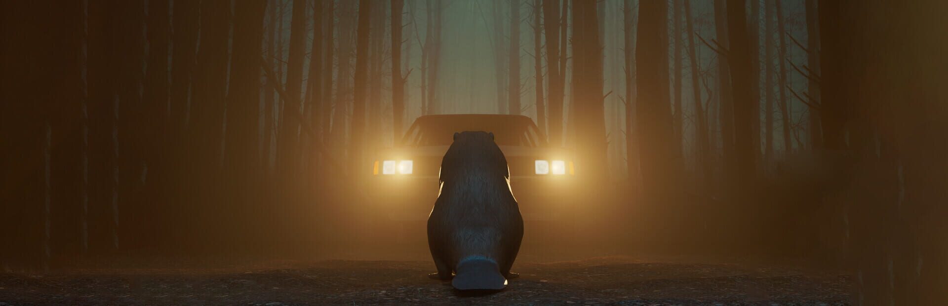 Don't Mess With Bober artwork