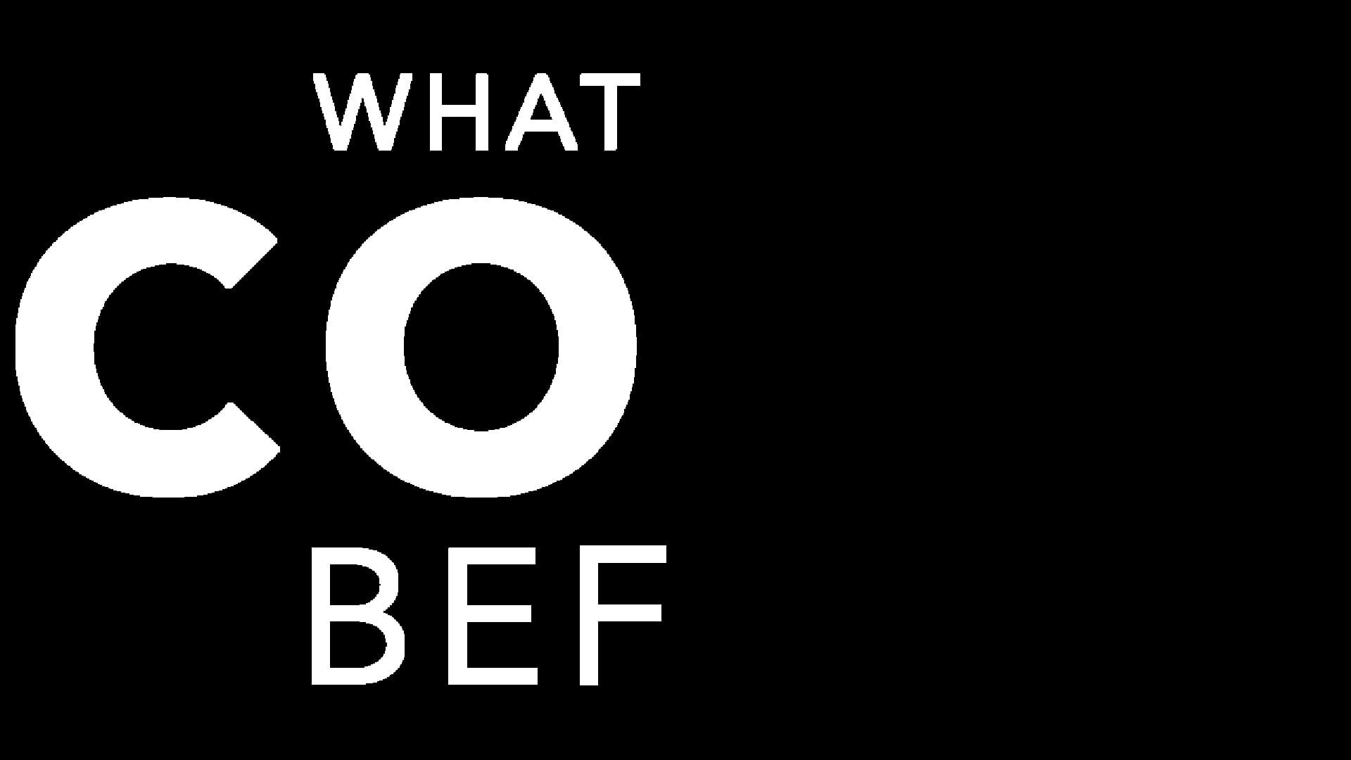 What Has Come Before artwork