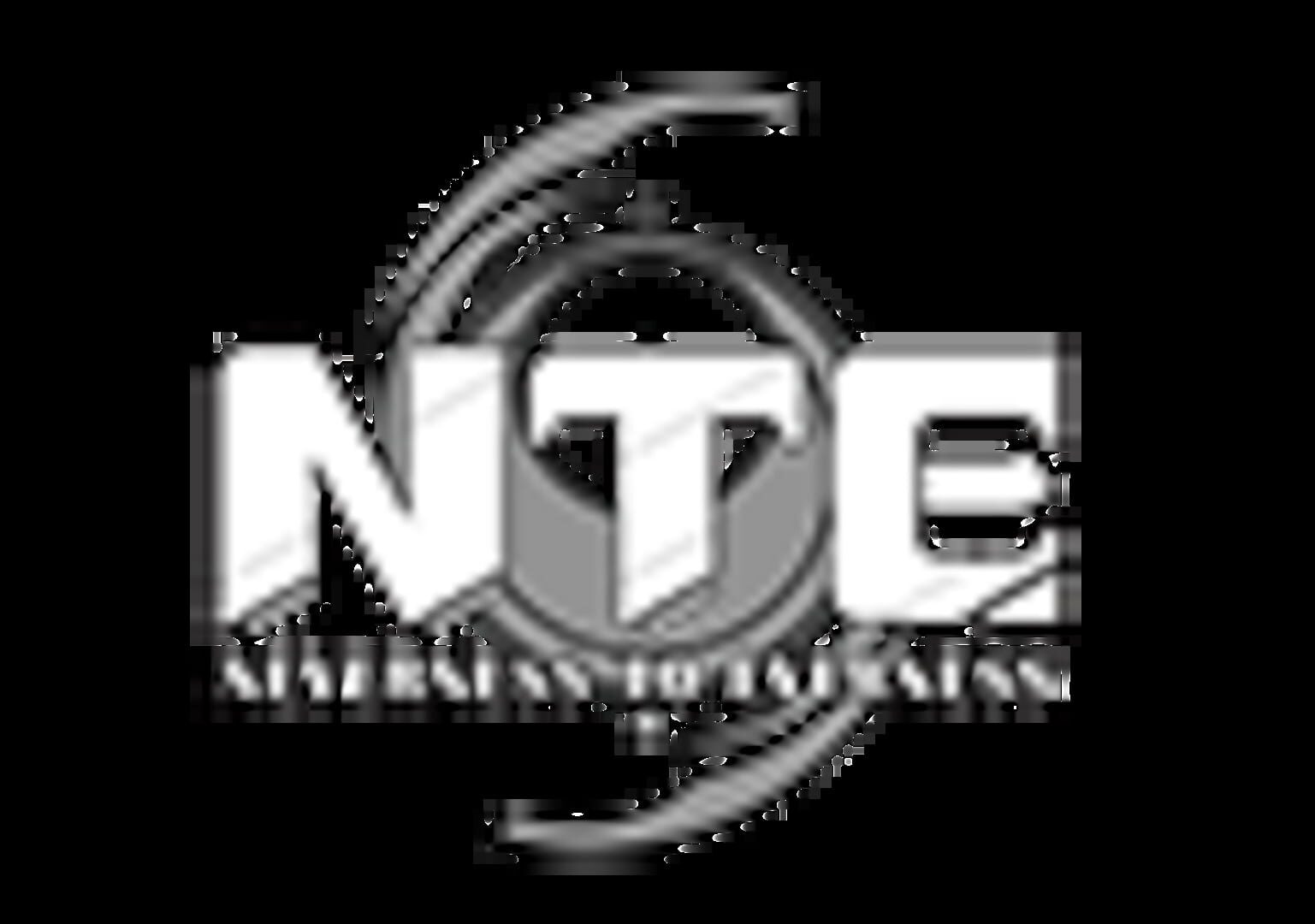 Neverness to Everness artwork