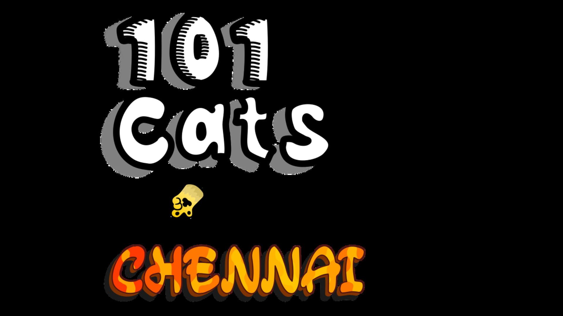 101 Cats in Chennai