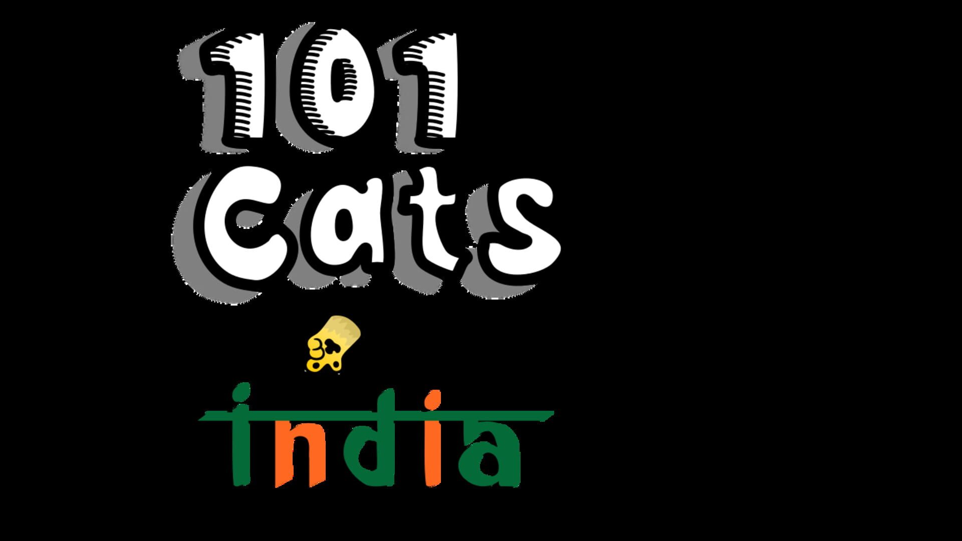 101 Cats in India