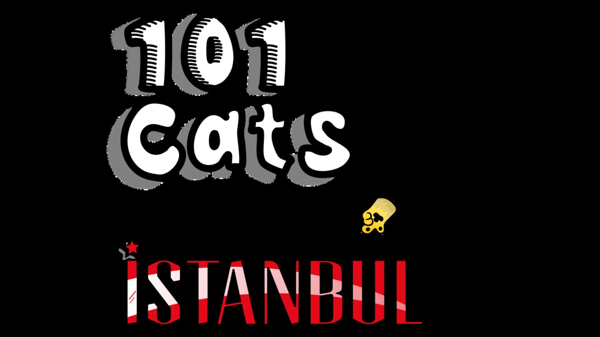 101 Cats in Istanbul