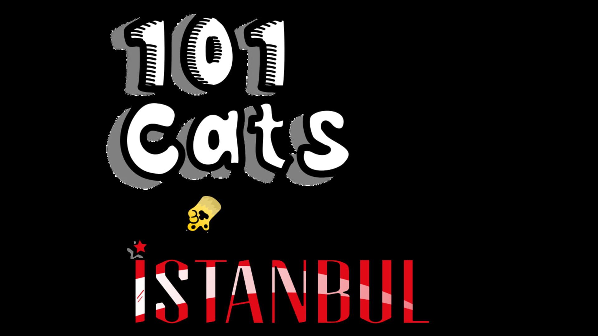 101 Cats in Istanbul