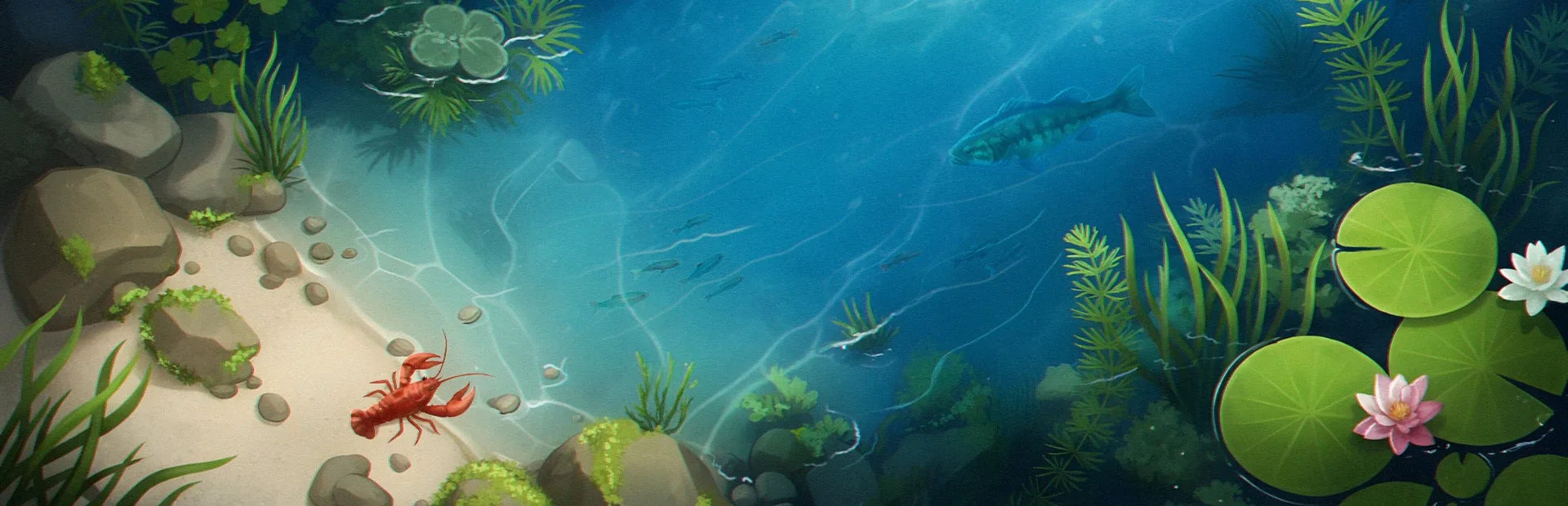 FishPond