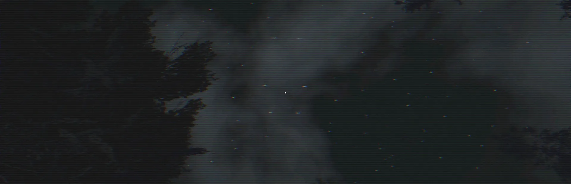 The Cluster