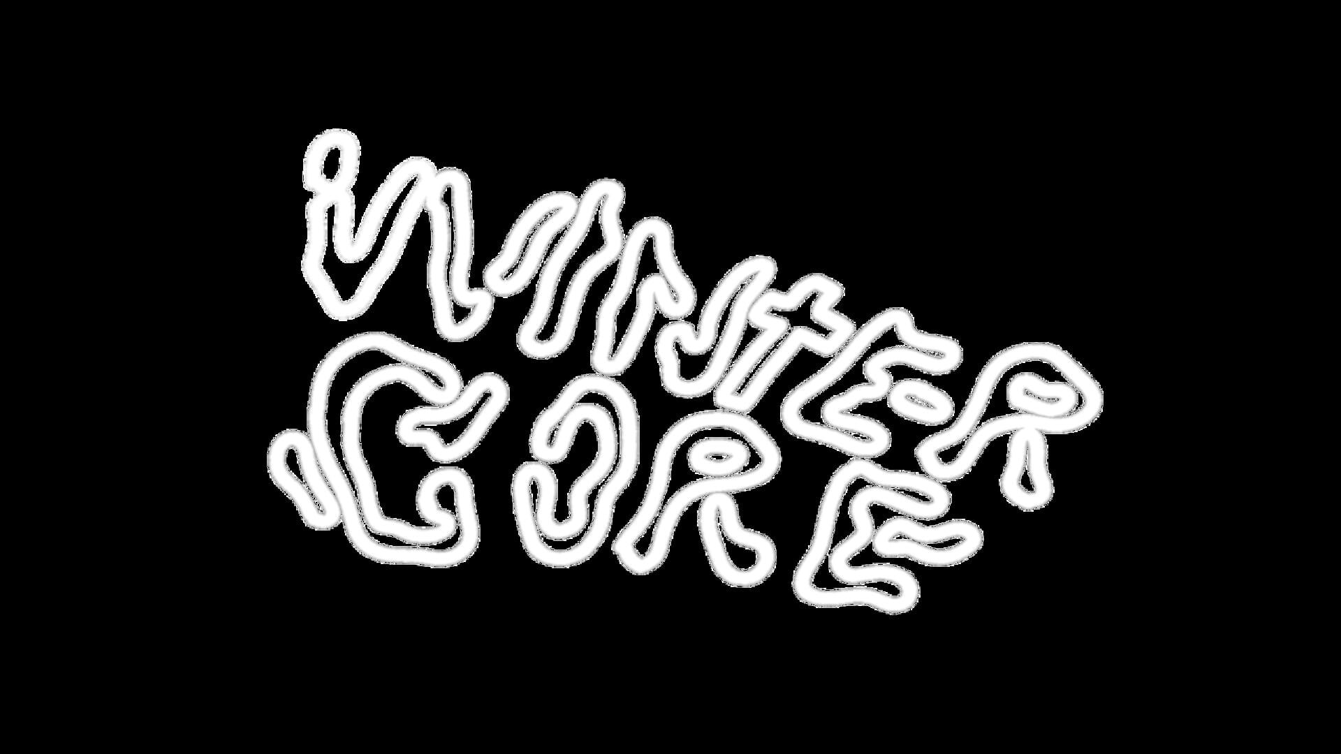 Vvintercore
