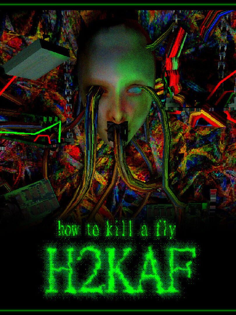 How to Kill a Fly