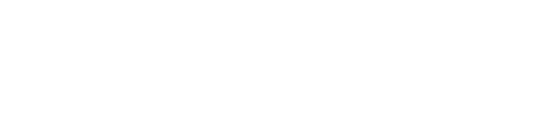 Bolo