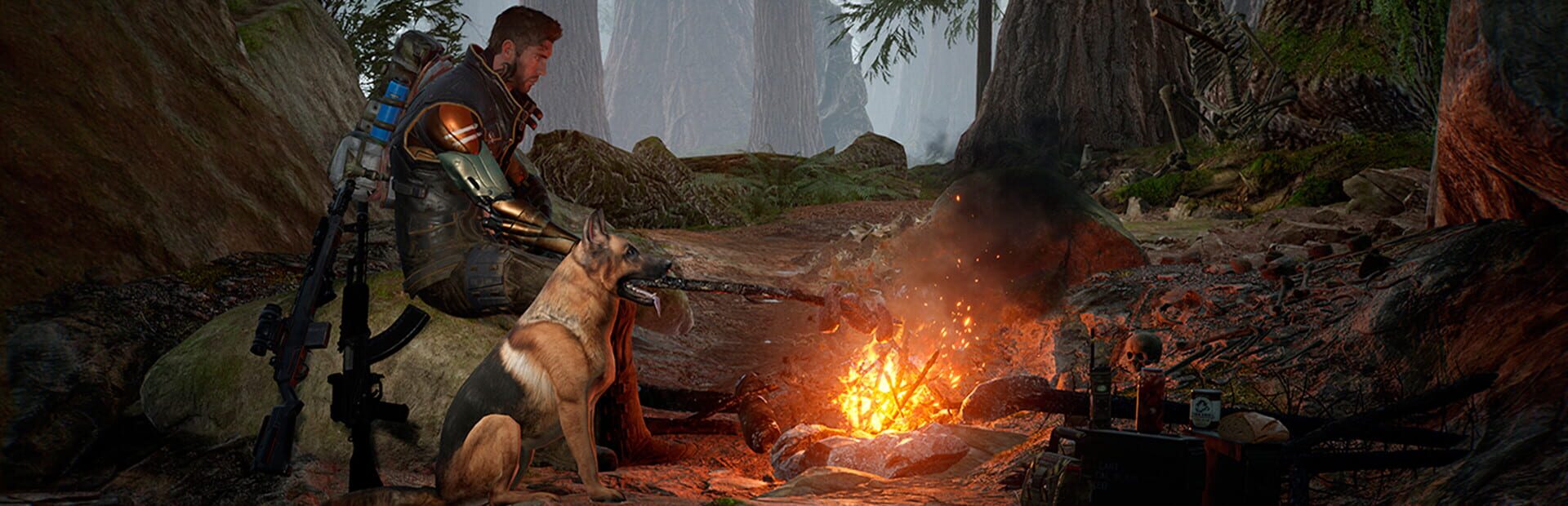 Artwork for Life Effect Survival