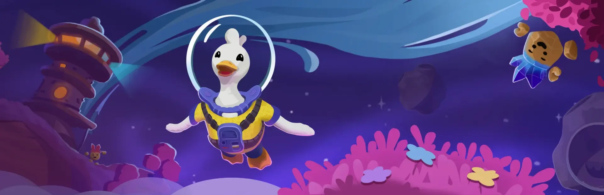 Duck Side of the Moon
