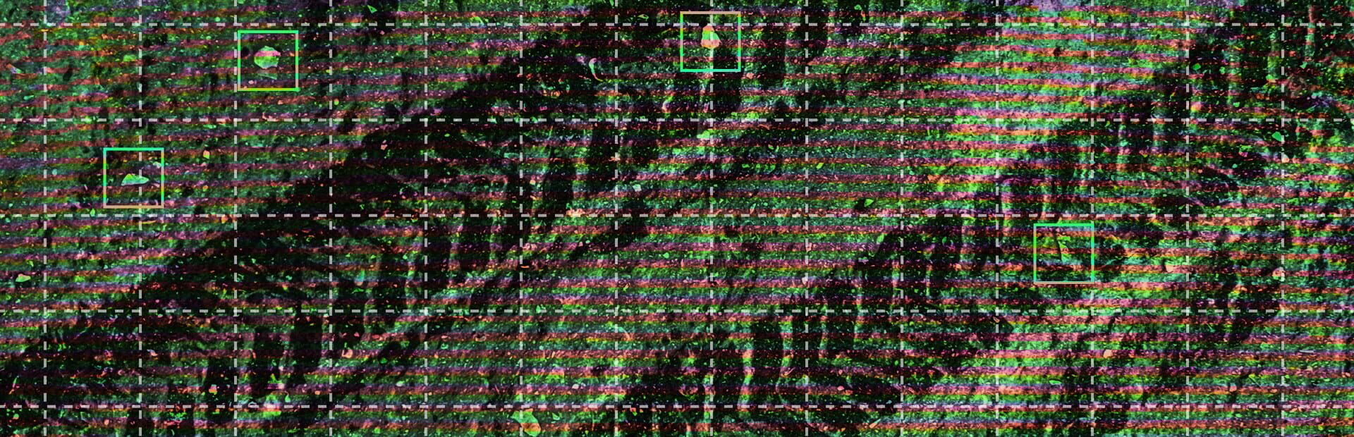 Venera 31 artwork