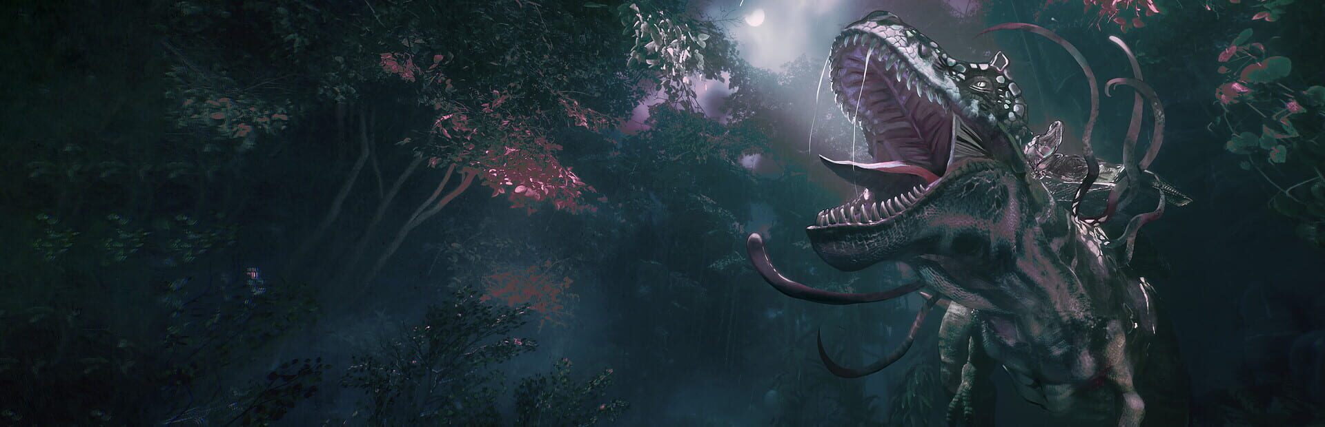 Wilderdark