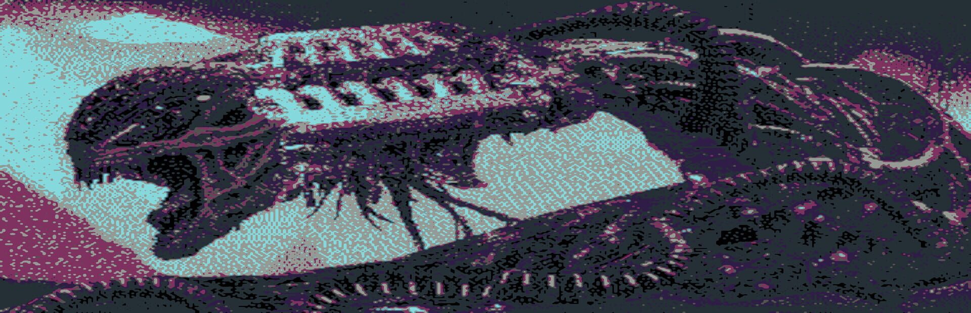 Hyperwurm Is Back!