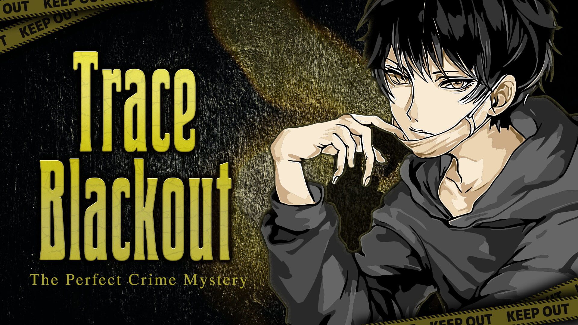 Artwork for Trace Blackout: The Perfect Crime Mystery