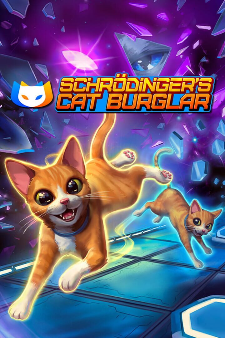Schrodinger's Cat Burglar artwork