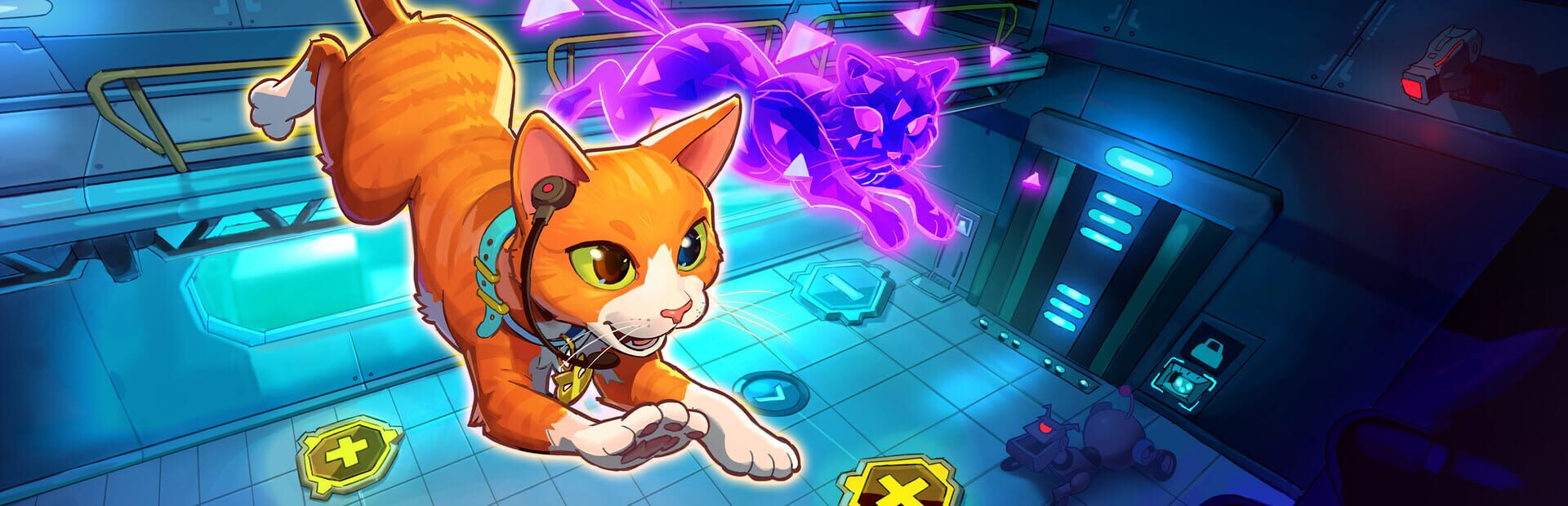 Schrodinger's Cat Burglar artwork