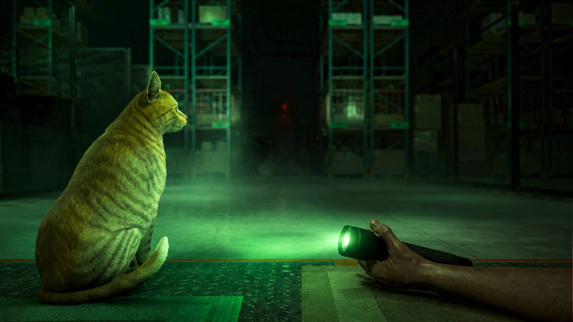 Order 13 VR