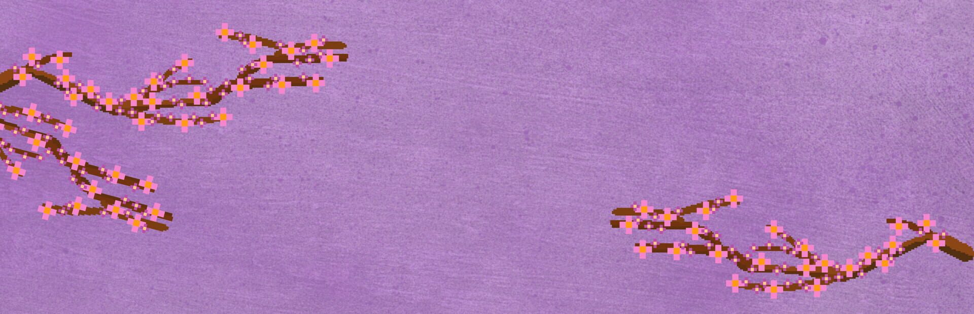 Hidden Raccoons in Asia artwork