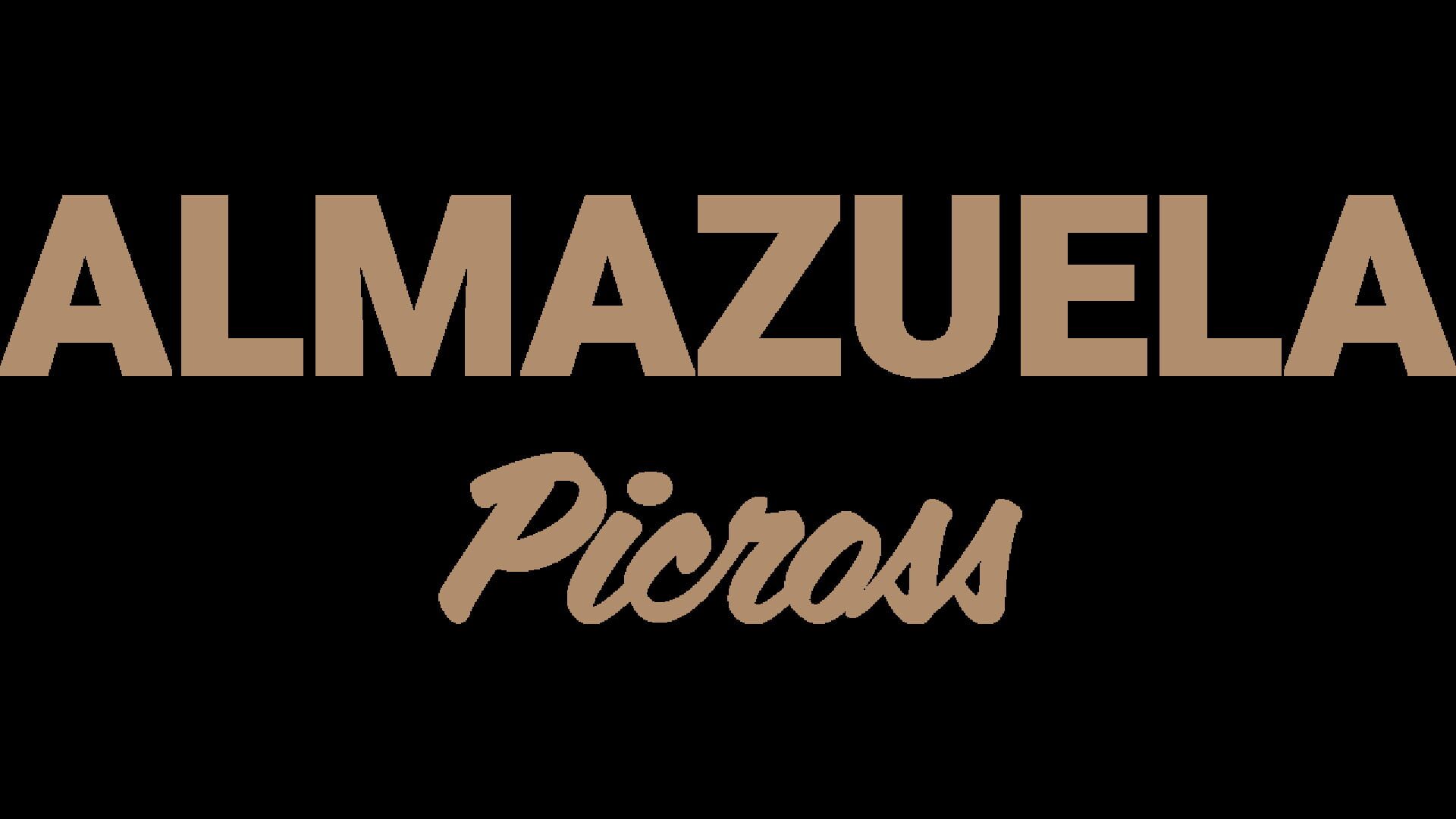 Almazuela Picross