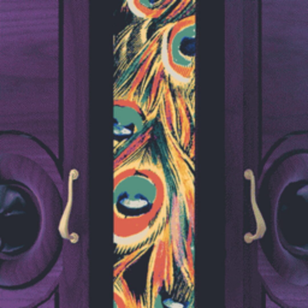 The Dreams in the Peacock House artwork
