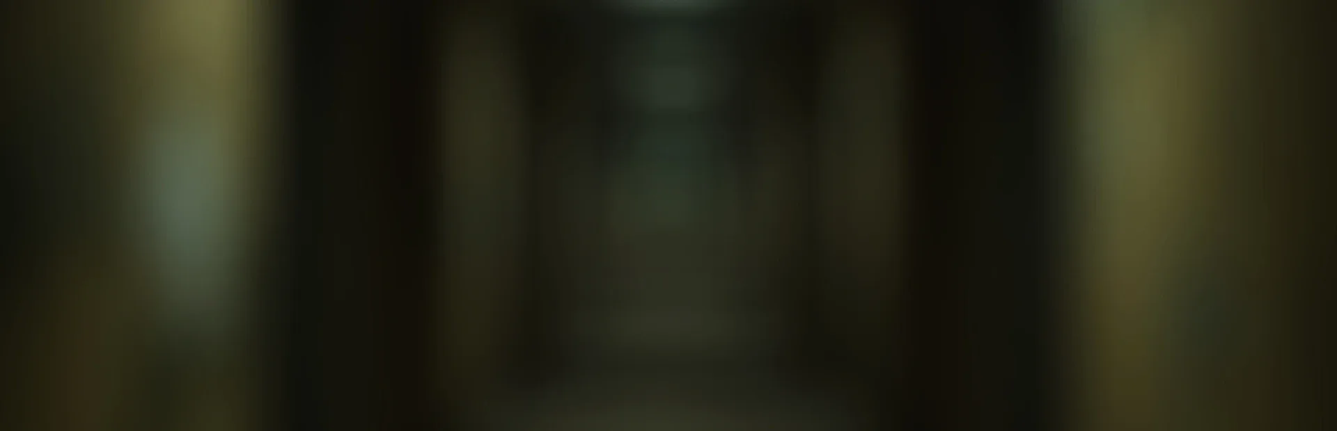 Backrooms: The Last Observer