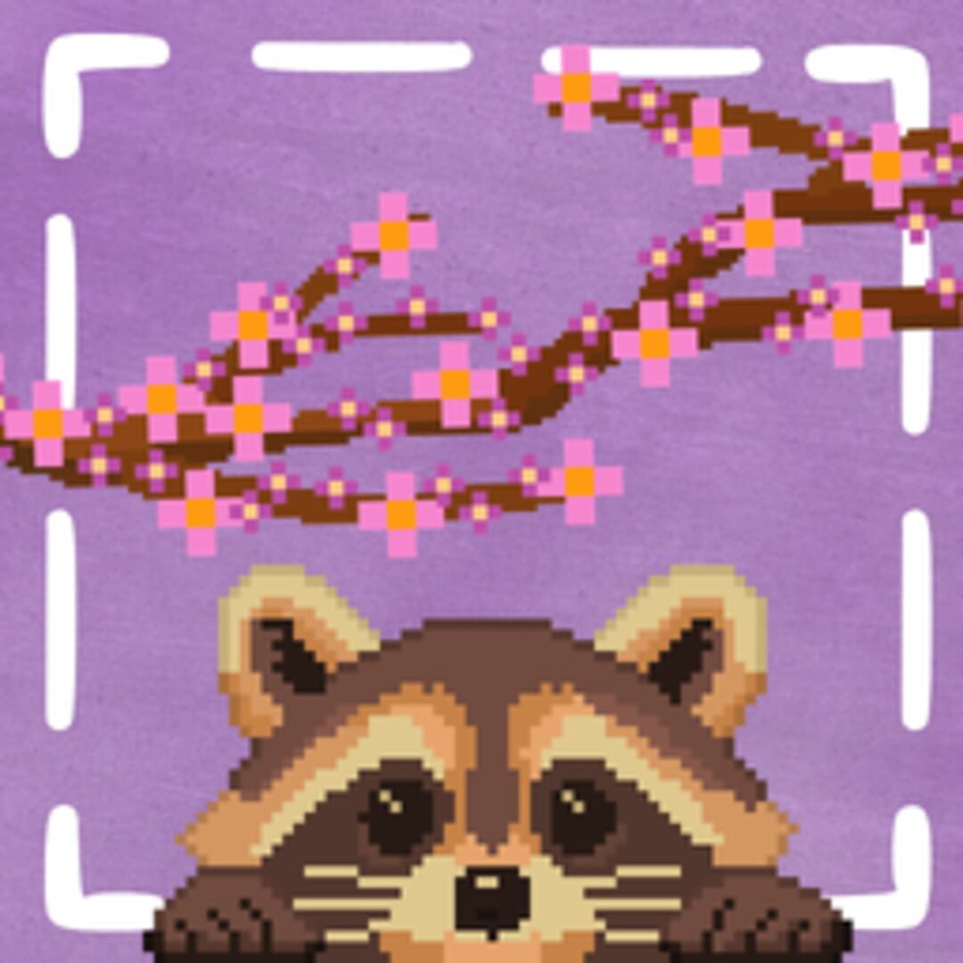 Hidden Raccoons in Asia artwork