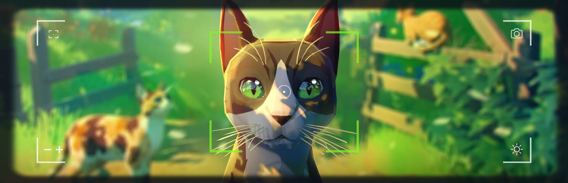 Artwork for Cat a Photo