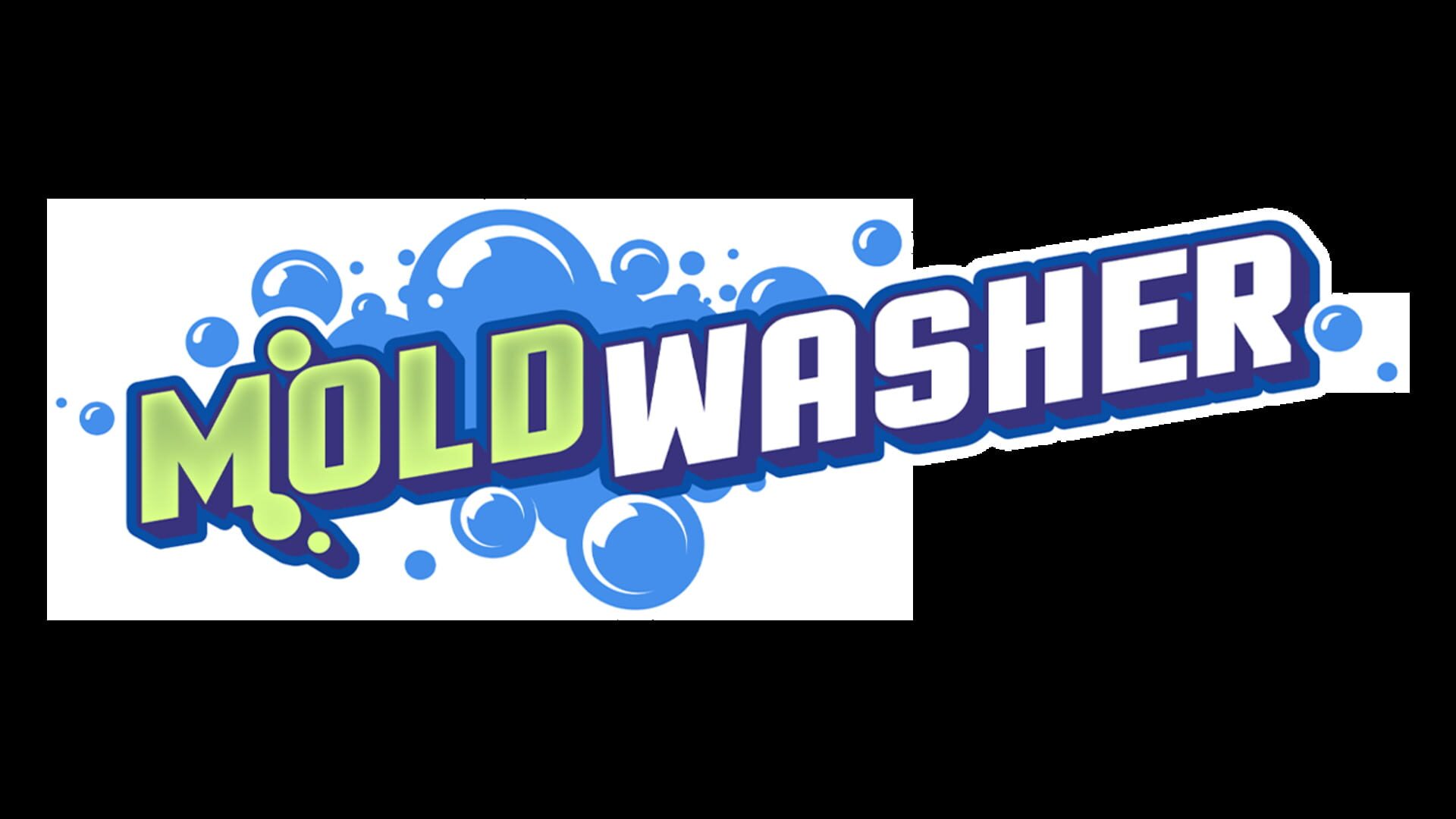 Moldwasher artwork