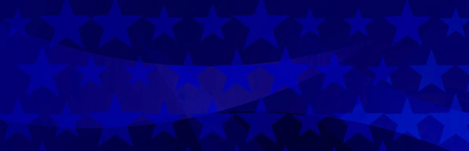 The Political Simulator
