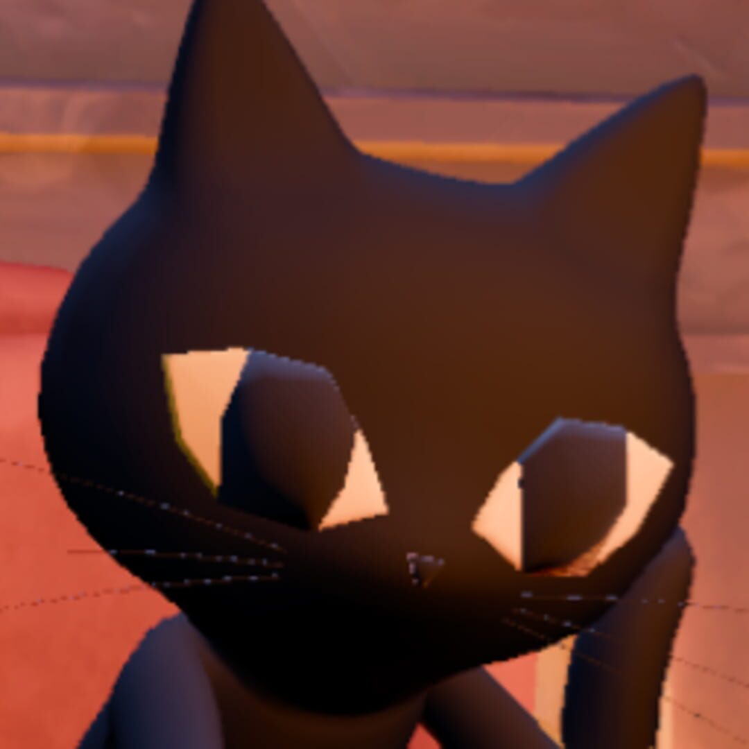 Black Cat Book Club