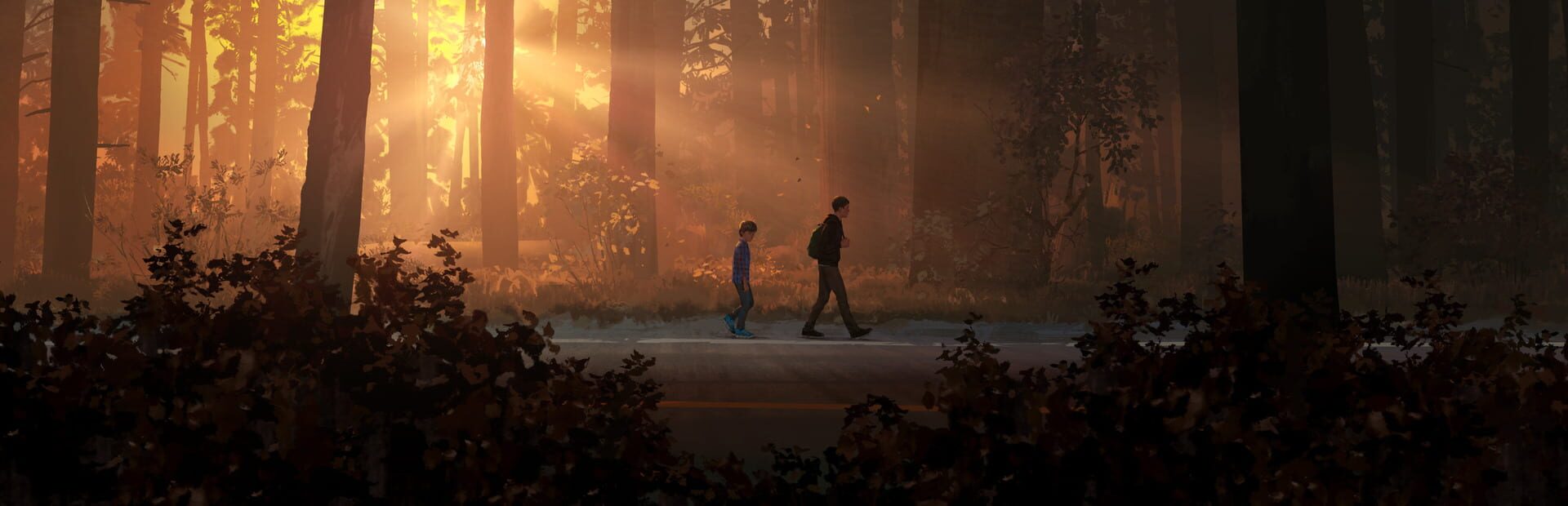 Life Is Strange 2 artwork