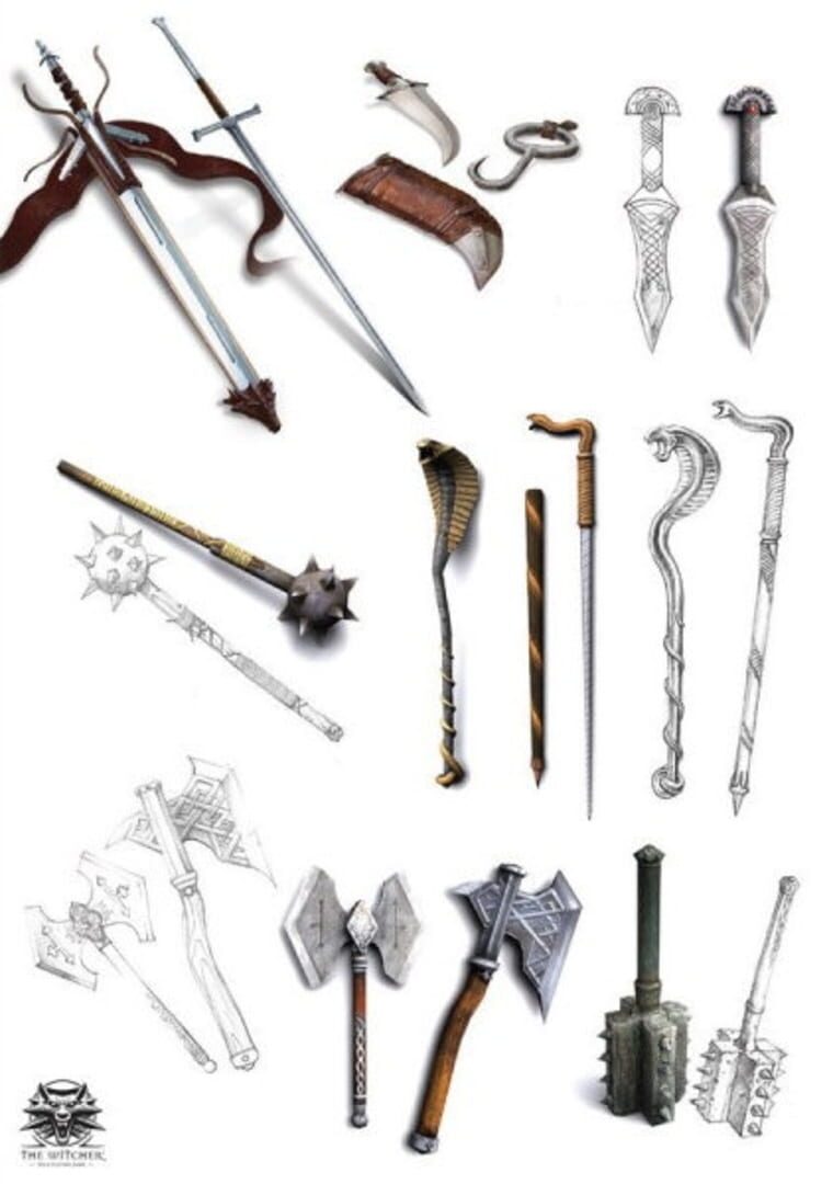 The Witcher