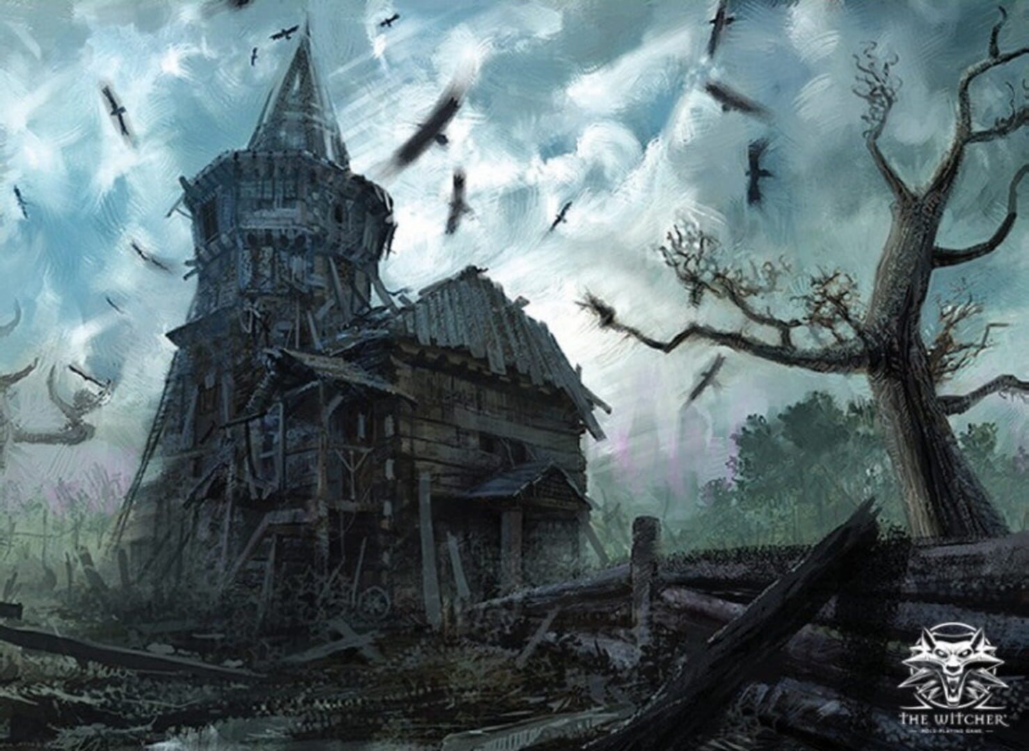 The Witcher