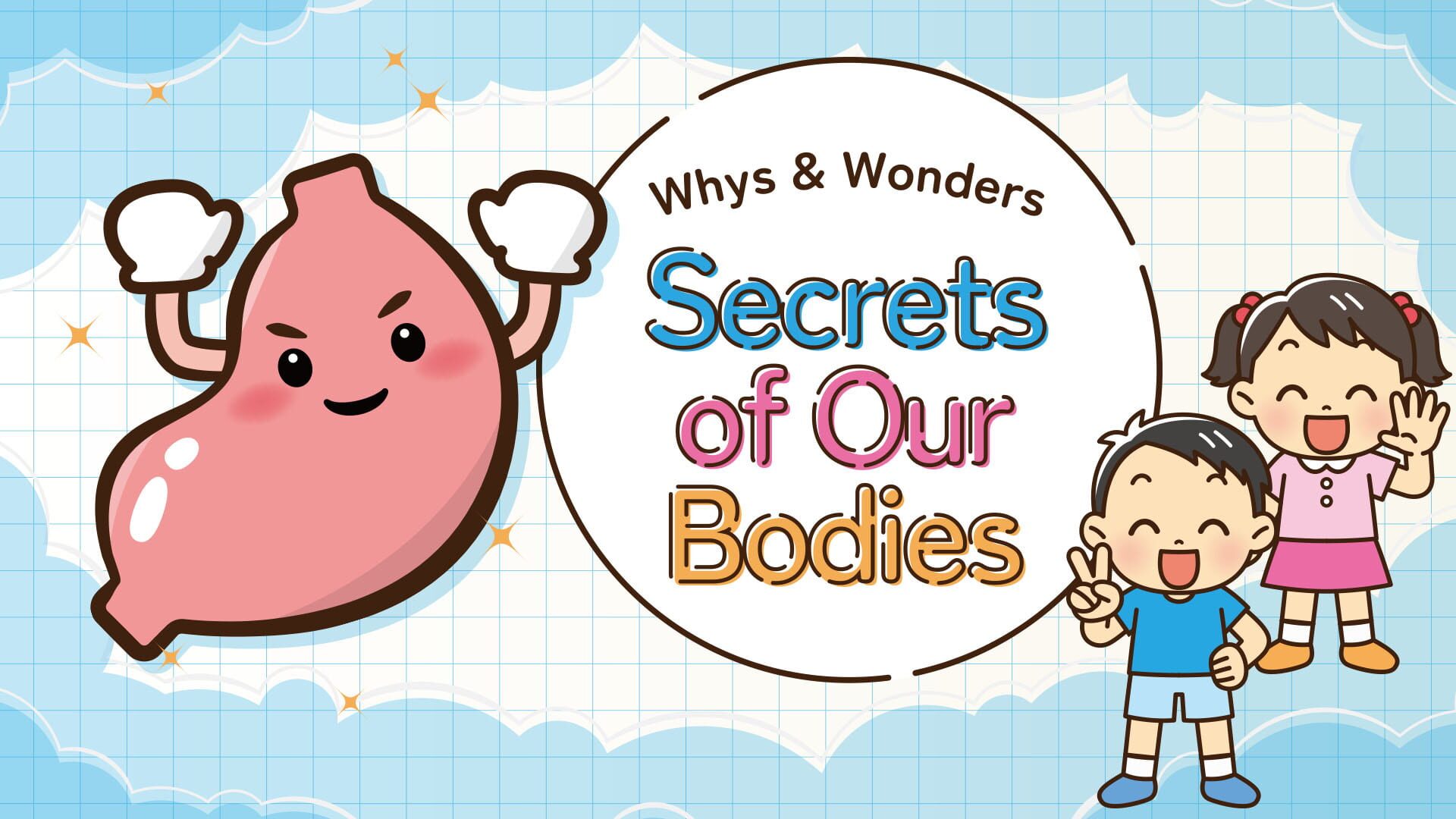 Whys & Wonders Secrets of Our Bodies