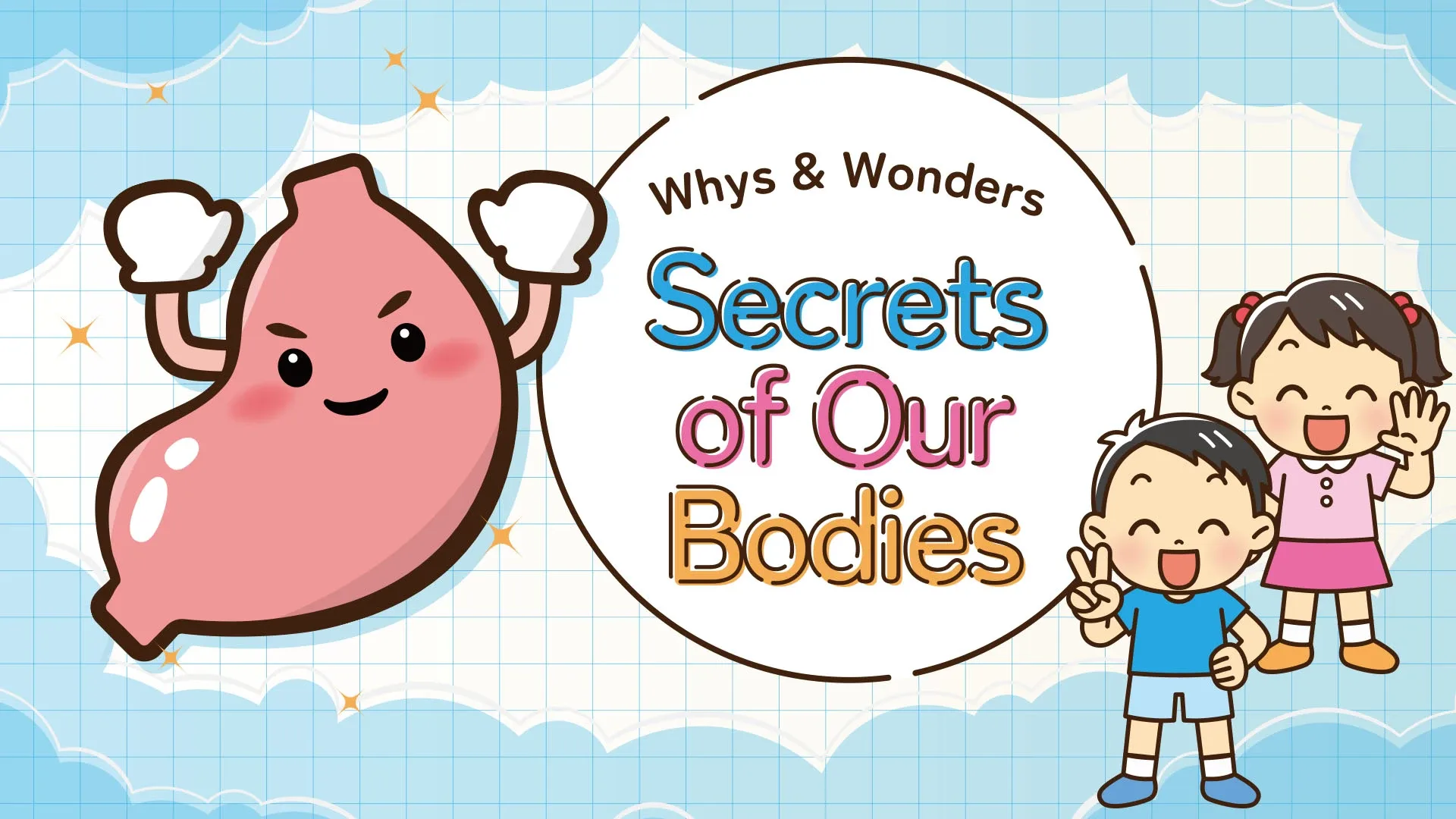 Whys & Wonders Secrets of Our Bodies