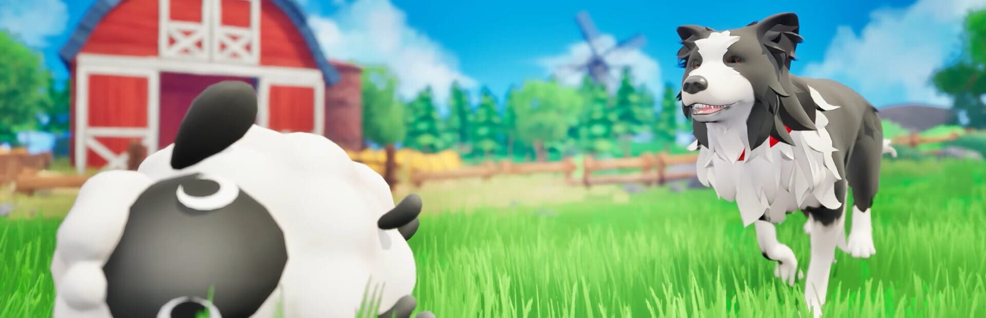 Artwork for Sheep Dog