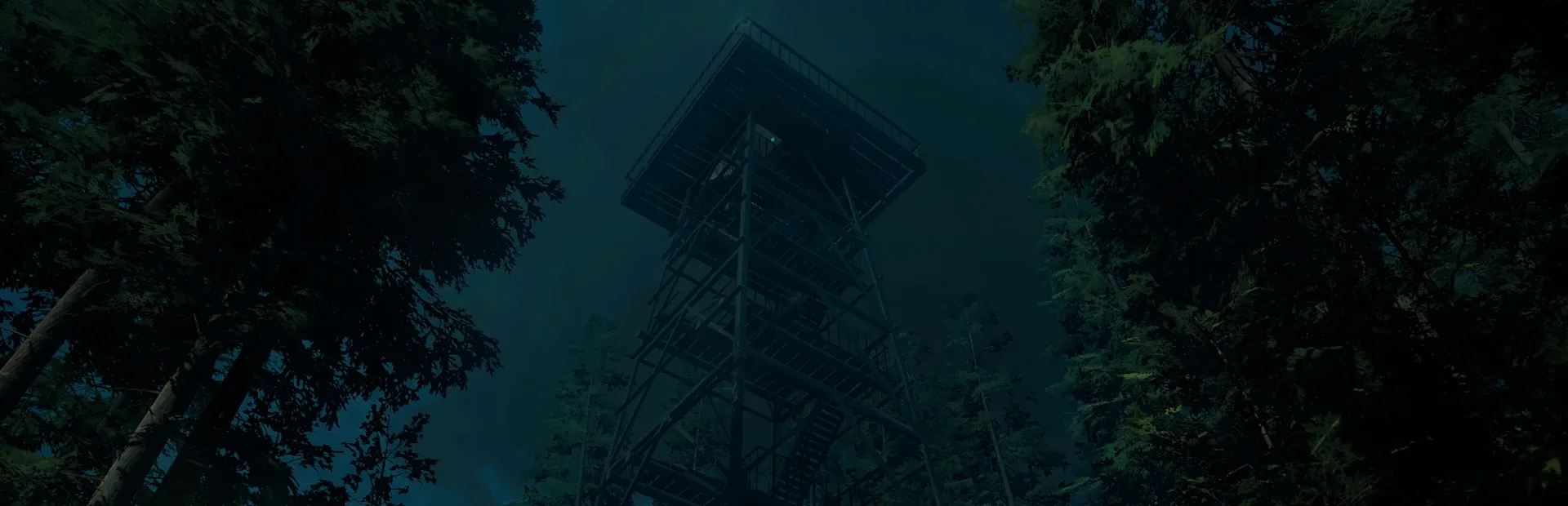 Forest Lookout
