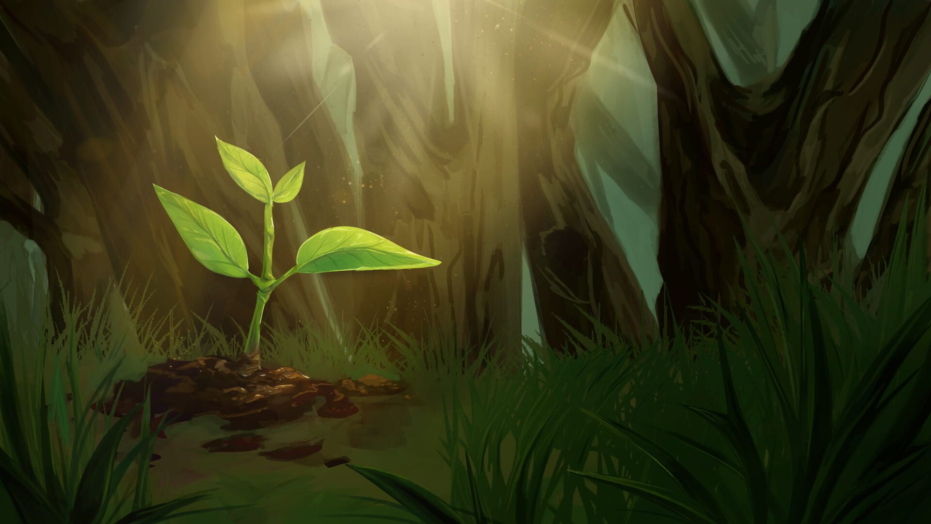 artwork 6