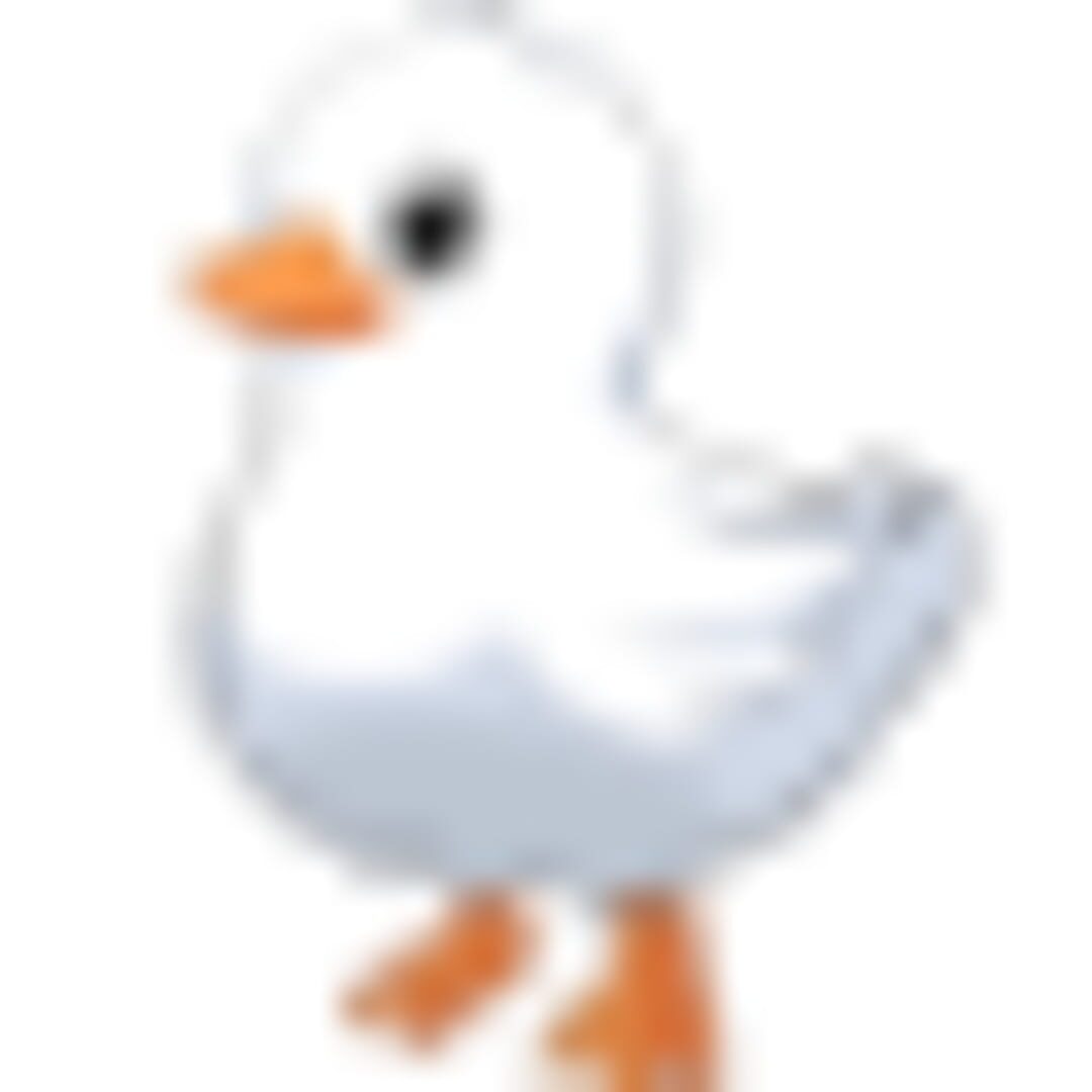 Dodo Duckie artwork