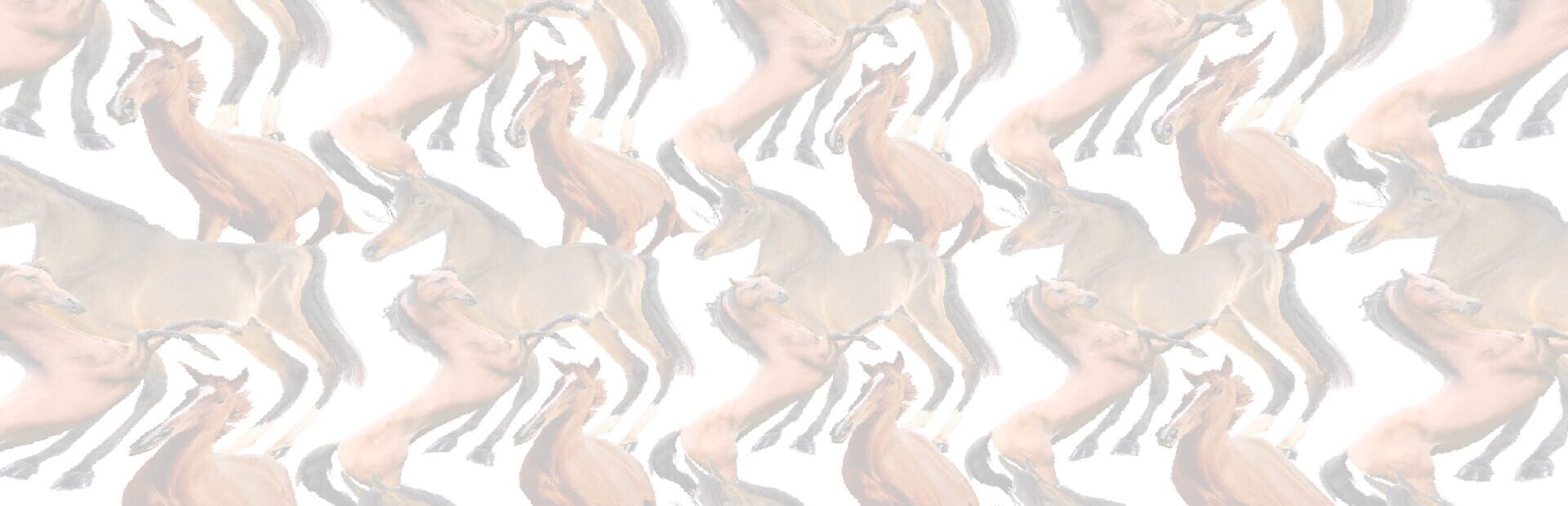 Artwork for Horse Magnifier: The Full Horse