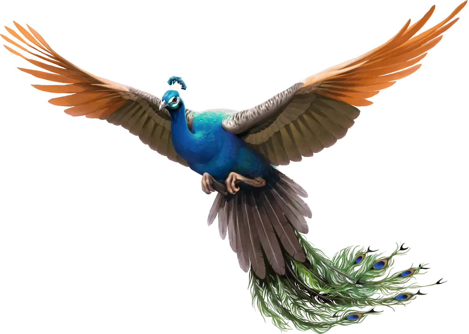 Wingspan: Asia Expansion