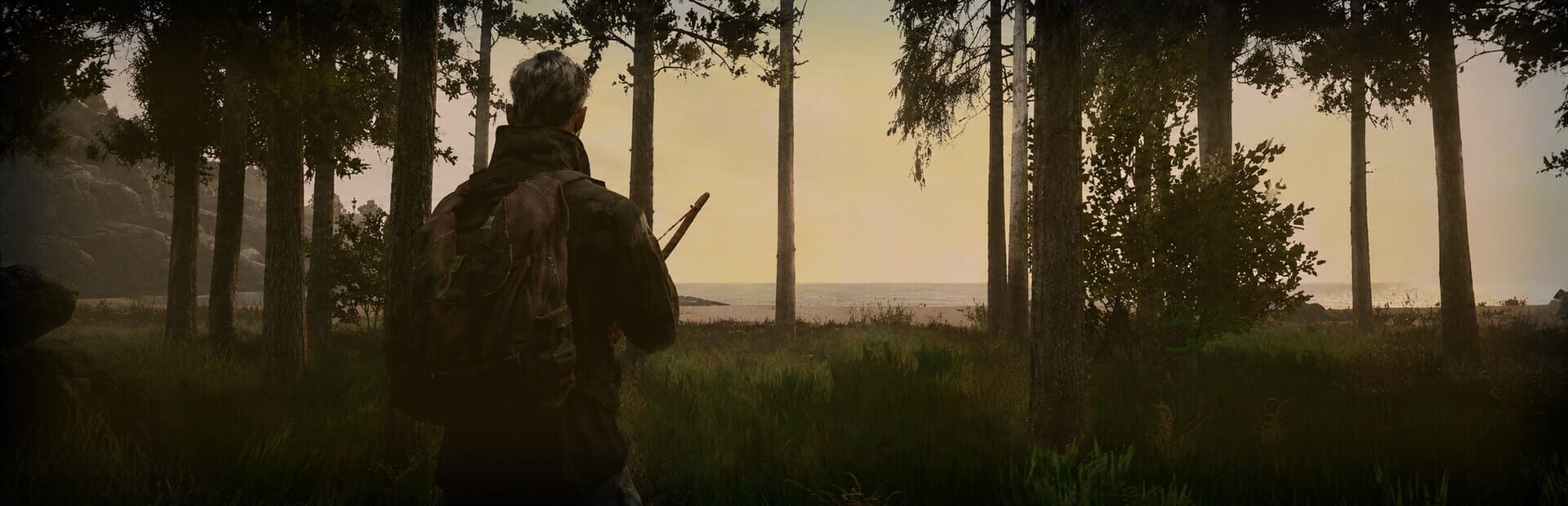 The Dead We Knew: Open World Survival artwork