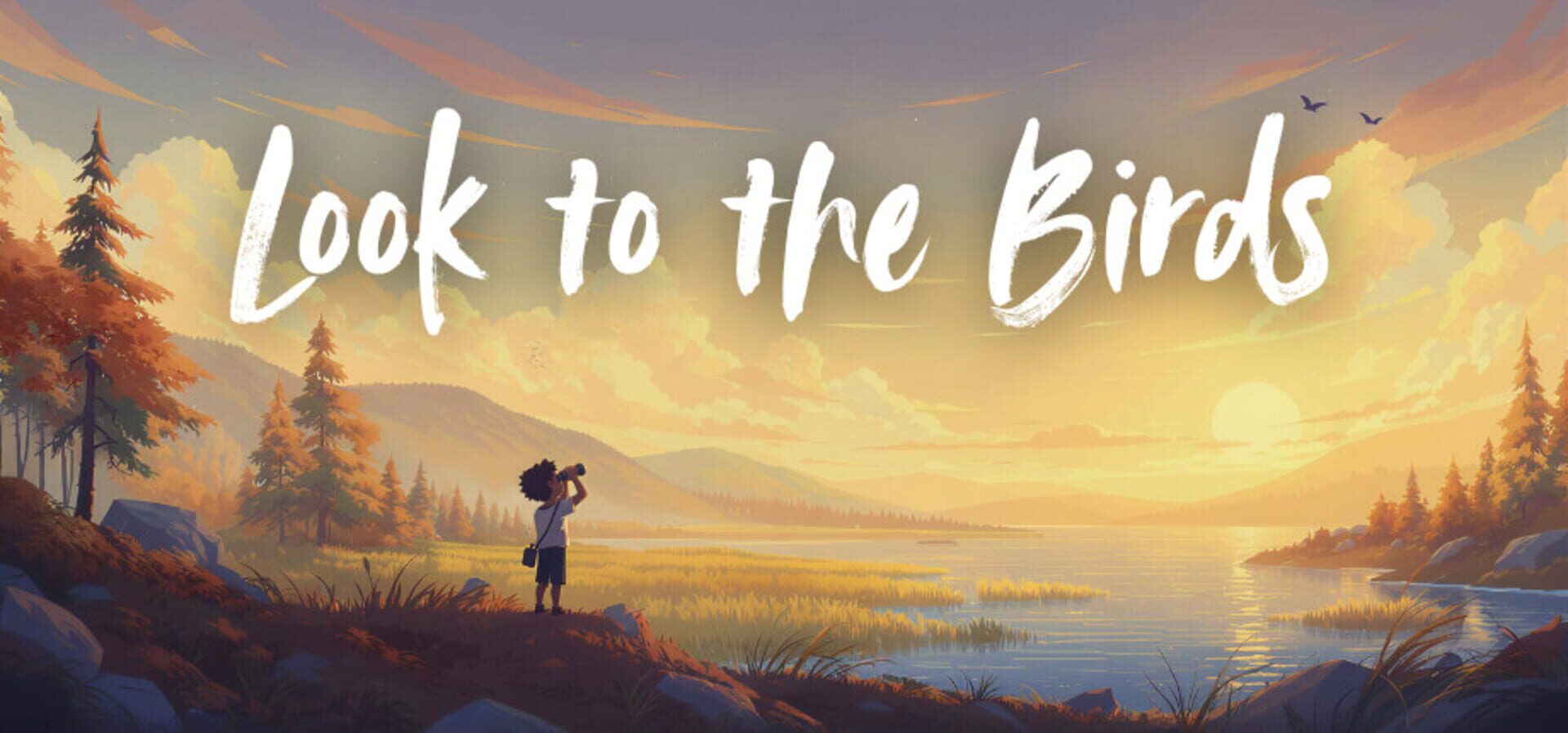 Artwork for Look to the Birds